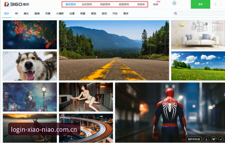 小鸟平台手机版使用技巧深度评测：从新手到高手的全面体验报告