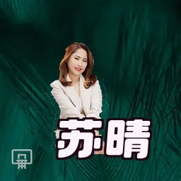 苏晴