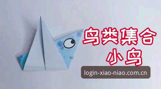 小鸟平台使用教程 小鸟平台官网使用教程详解